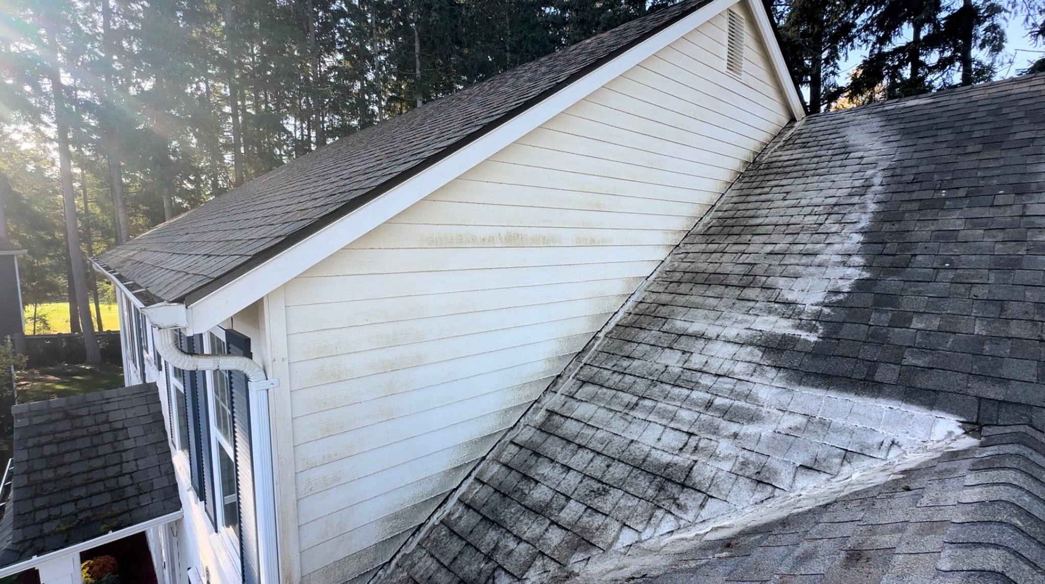 Residential shingle roof before soft wash cleaning — heavy moss and algae growth